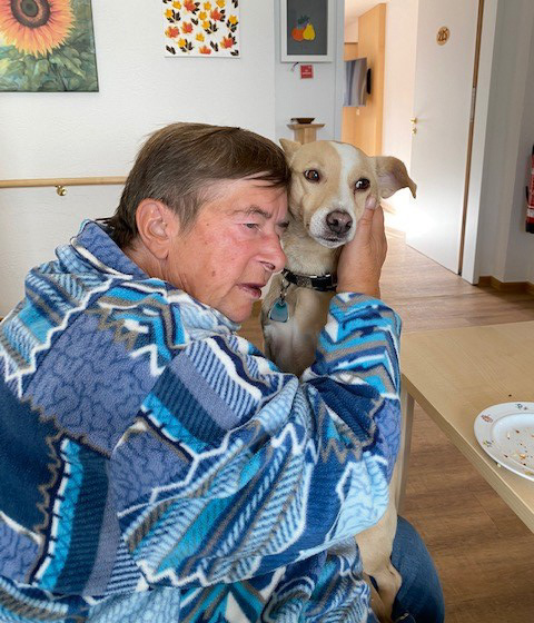 Tiertherapie im Sonnenhof