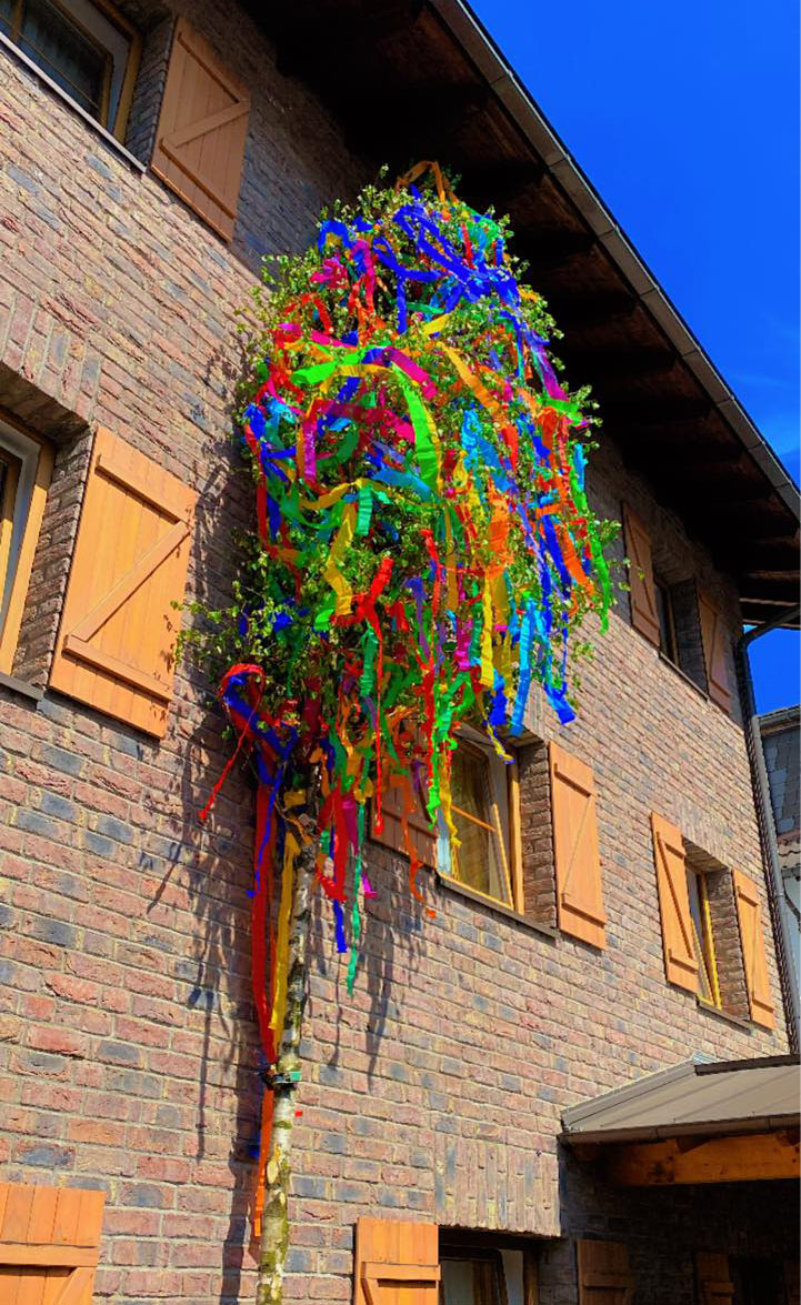 Unser Maibaum steht